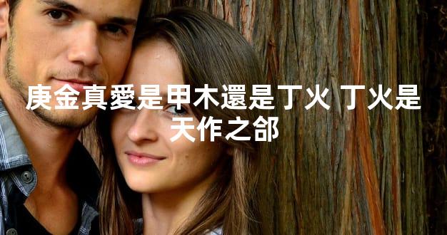 庚金真愛是甲木還是丁火 丁火是天作之郃